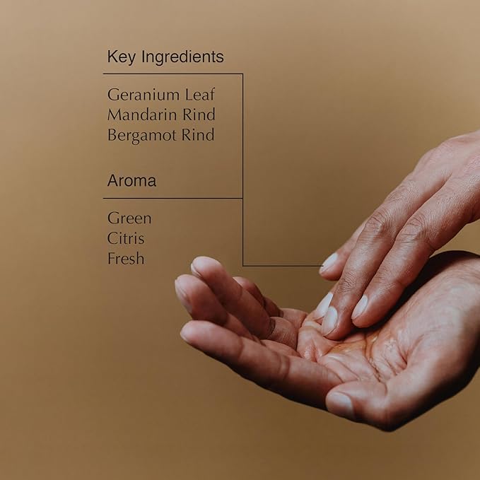 Aesop Geranium Leaf Body Cleanser + Refill | Invigorating Cleansing Gel | Alternative to Conventional Soap | 16.9 oz, Pack of 2
