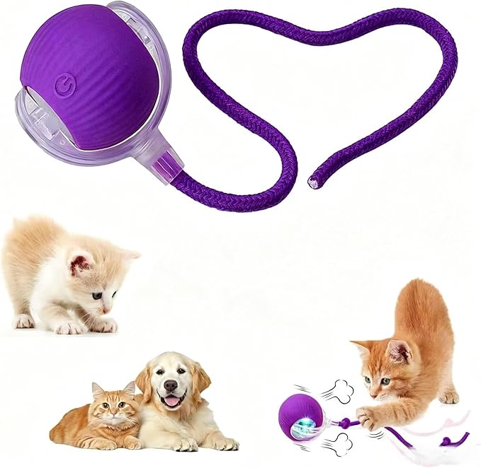 Interactive Pet Toy Ball, Automatic Dog Toy Interactive Dog Cat Toy Ball Dog & Cat Electric Active Toys, Smart Chase Pet Toy Ball for Dogs for Large Small Dogs Motion Activated，Purple