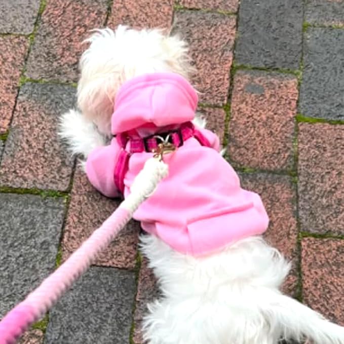 Soft Dog Hoodies for Small Dogs, Warm Fleece Puppy Clothes with Pocket | Jecikelon cold weather coat, cute puppy costume, breathable sweatshirt for dogs girl & boy, machine washable, easy on & off