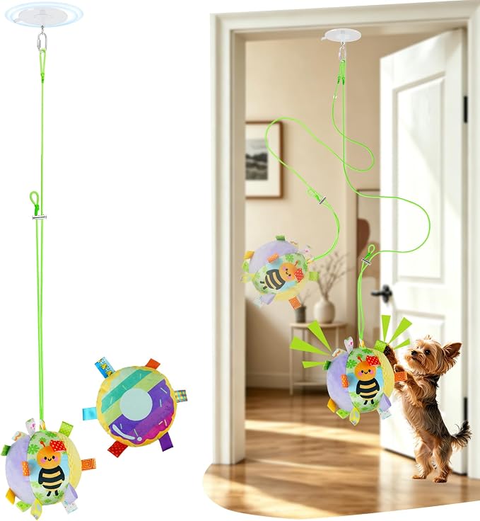 Colorful Squeaky Hanging Dog Toy with Suction Cup for Small Dogs | Bungee Tether, Crinkle Bell Ball, Bouncing Self-Play Toy, Door Frame Mounted, Interactive Fetch for Puppy Teething & Exercise