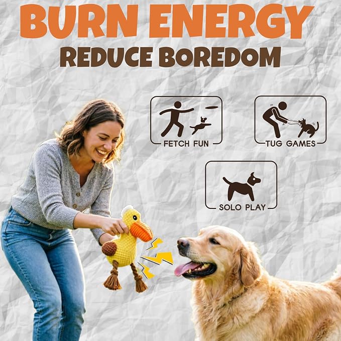 Squeaky Pelican Dog Toys, Plush Interactive Stuffed Toy for Dogs