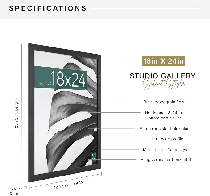 MCS Studio Gallery 18x24 Poster Frame Black Woodgrain Engineered Wood, Vertical & Horizontal Wall Hanging Large Picture Frame for Photos, Posters & Art Prints (1-Pack)