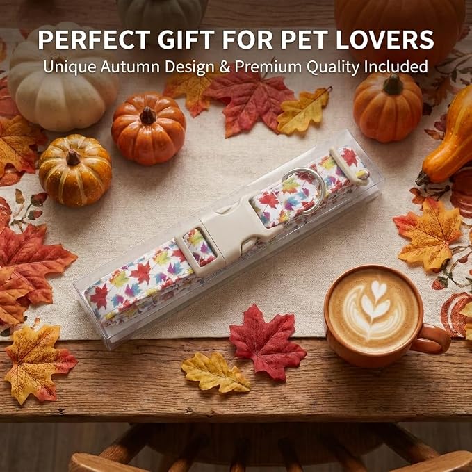 Fall Dog Collar, Dog Collar for Medium Dogs, M