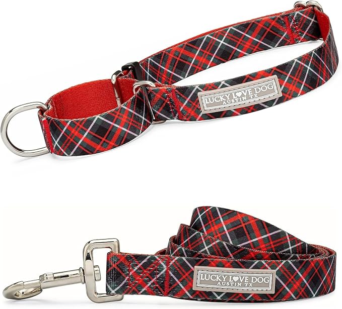 Lucky Love Dog Martingale Collar & Leash Set No Slip Cute – Heywood, Small