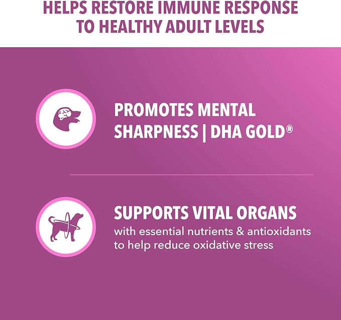 IAMS Proactive Health Mature Large Breed Dry Dog Food, Chicken, 15 lb | Veterinarian-recommended, DHA Gold for mental & visual sharpness, Vitamin E & Beta Carotene, real chicken #1 ingredient