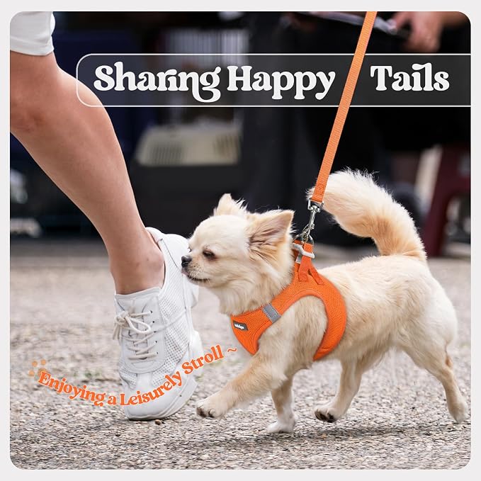 rabbitgoo Dog Harness Small Sized and Leash Set, Step-in Puppy Pet Vest | Light, Soft, Breathable Air Mesh, Easy on and Remove with Hook & Loop, Secure Reflective for Walking, Orange S