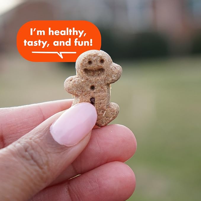 Buddy Softies Soft & Chewy Dog Treats Peanut Butter 20 oz. Jar | All Life Stages, Gingerkid Shape, Minimally Processed, Free of Corn, Soy, Artificial Flavors, Colors and Preservatives