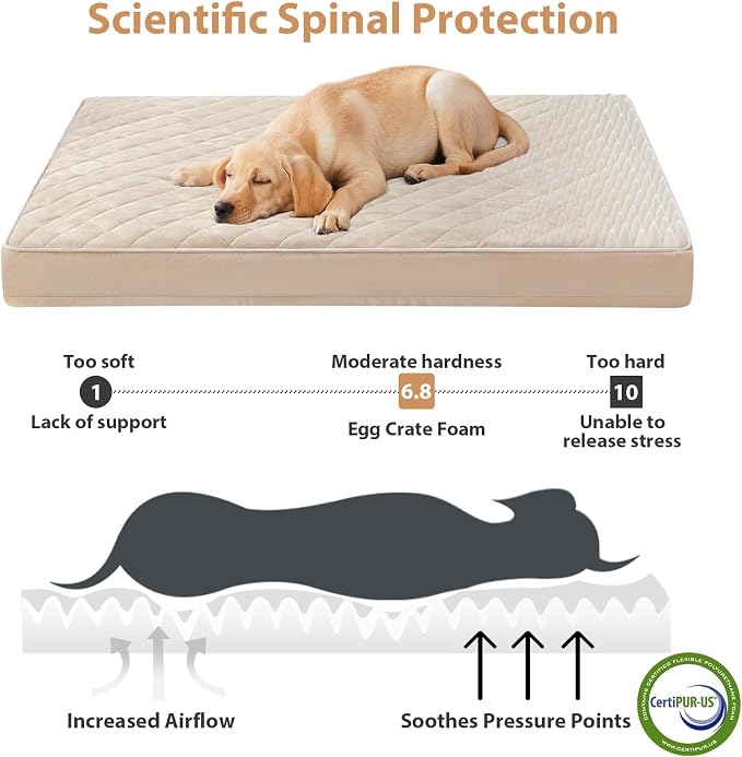 WNPETHOME Orthopedic XXL Dog Beds for Large Senior Dog Bed Comfy Sleeping | XXL Washable Waterproof Dogs Bed with Removable Cover, Multi-Needle Quilting Dogs Crate Bed for Relax , Beige 47x29 Inch