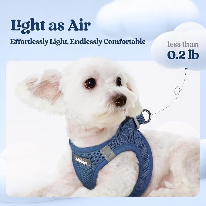 rabbitgoo Dog Harness Small Sized and Leash Set, Step-in Puppy Pet Vest | Light, Soft, Breathable Air Mesh, Easy on and Remove with Hook & Loop, Secure Reflective for Walking, Navy Blue XS