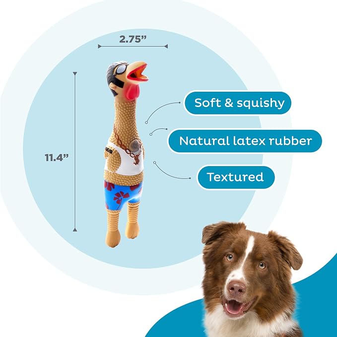 Outward Hound Squawkers Squeaky Latex Dog Toy, Earl, 11.4"