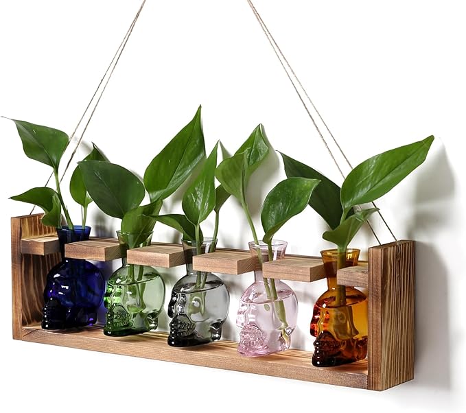 Plant Terrarium Propagation Stations Halloween Skull Planter Vase Skulls | decor With Wooden Stand Gife for Father - 5 Vases