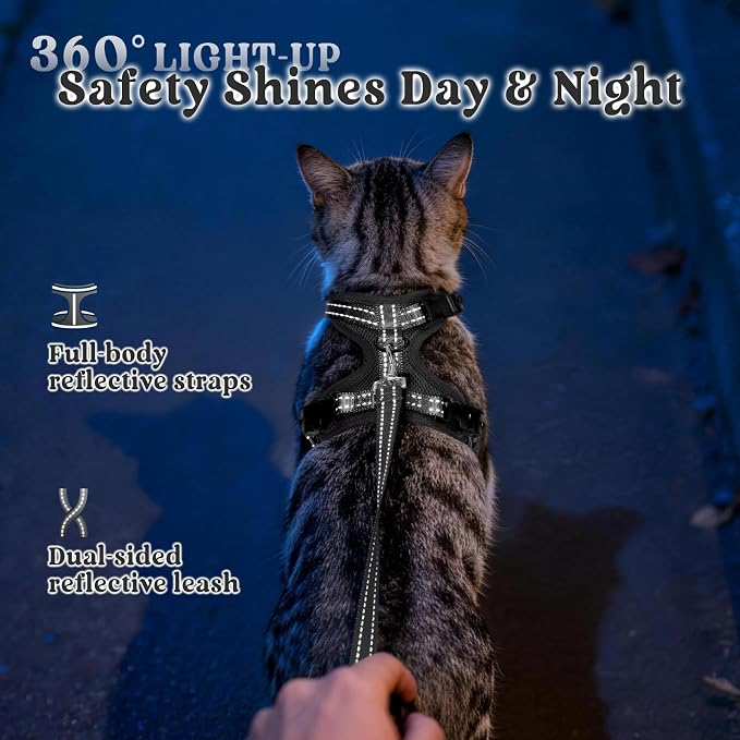 rabbitgoo Cat Harness and Leash, Easy-on with Neck Buckle, Black