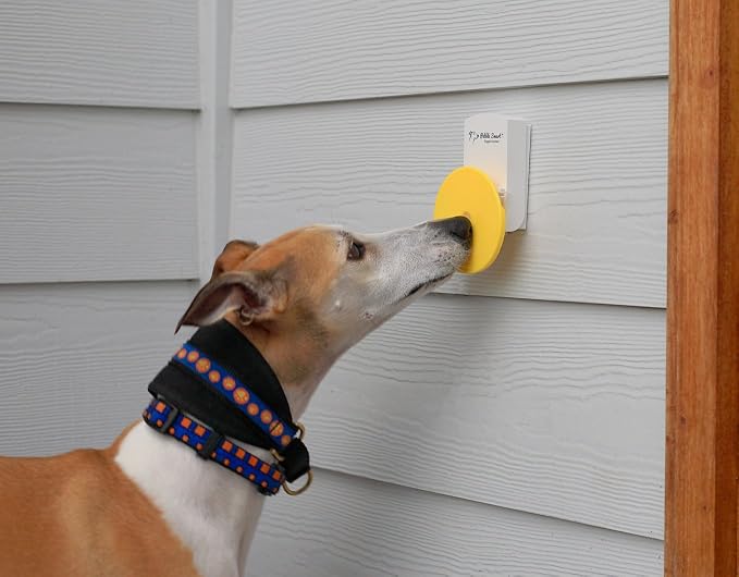 Doggie Doorbell - Blue Accent