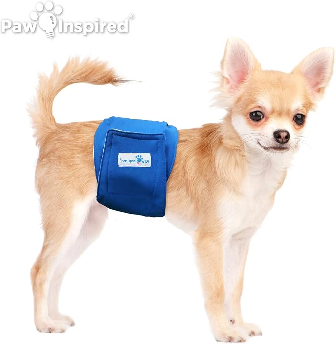 Paw Inspired Washable Male Dog Wraps, Assorted, White Lining, XS, 3 Pack | Extra Small Size, Blue/Green/Brown Colors, Reusable Cloth Belly Bands for Potty Training, Marking, Incontinence, Travel