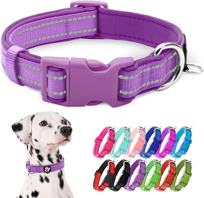 azuza Reflective Dog Collar, Neoprene Padded Large Dog Collar, Purple, L