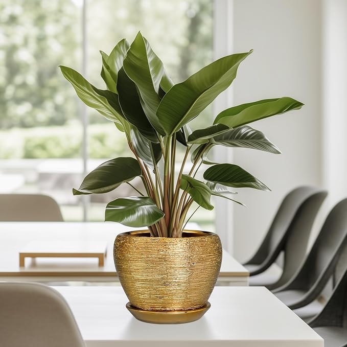 Ceramicfor Indoor Plant Pot 6 Inch - Ceramic Pot for Plants Outdoor Planter with Drainage Hole and Saucer Round Decorative Planter Modern Flower Pot for Home Decor Gold