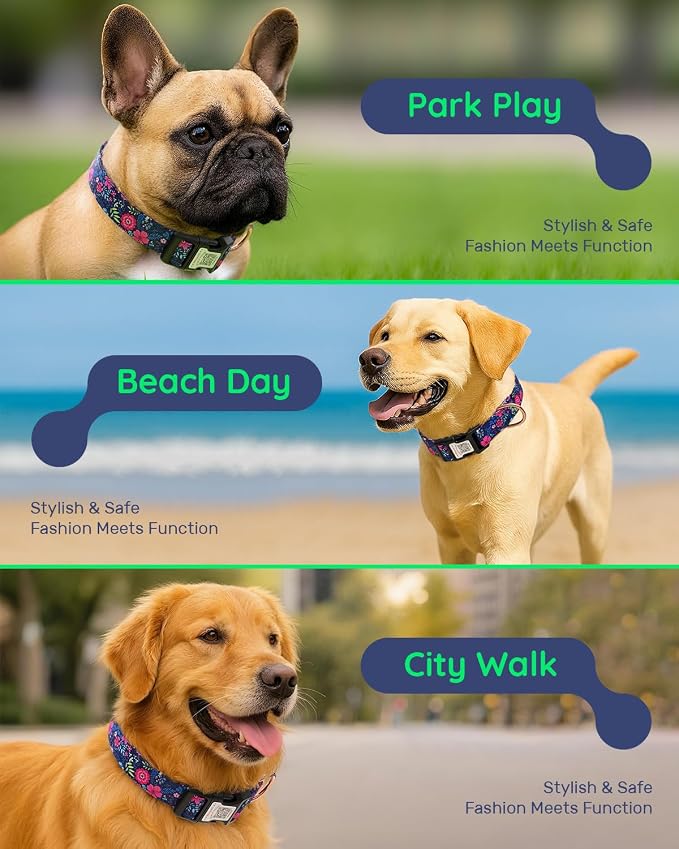 Dog Collar for Small Dogs with Smart QR Tags