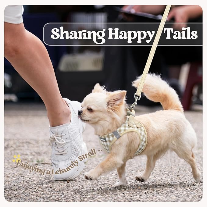 rabbitgoo Dog Harness Small Sized and Leash Set, Step-in Puppy Pet Vest | Light, Soft, Breathable Air Mesh, Easy on and Remove with Hook & Loop, Secure Reflective for Walking, Beige Check XS