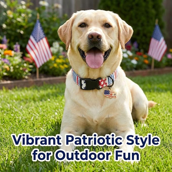 American Flag Dog Collar for Boys Dog, Patriotic Dog Collar with Star & Stripes Pattern, Adjustable Large Male Collar with Map Charm for 4th of July Occasion & Daily Walking, Fits Large Dogs