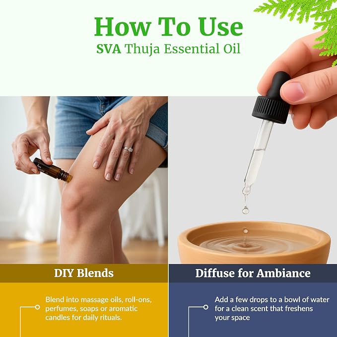 SVA Thuja Essential Oil 1 Fl Oz – for Diffuser, Skin & Hair Care – Ideal for Massage & DIY Blends - with Dropper