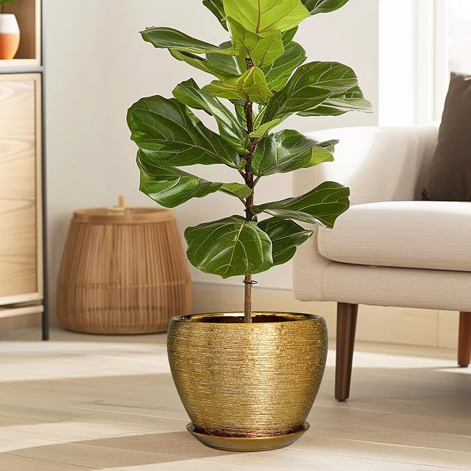Ceramicfor Ceramic Plant Pot 8 Inch - Planter for Outdoor Plants Indoor Plant Pot with Drainage Hole and Saucer Decorative Round Planter Modern Flower Pot for House Decor Gold