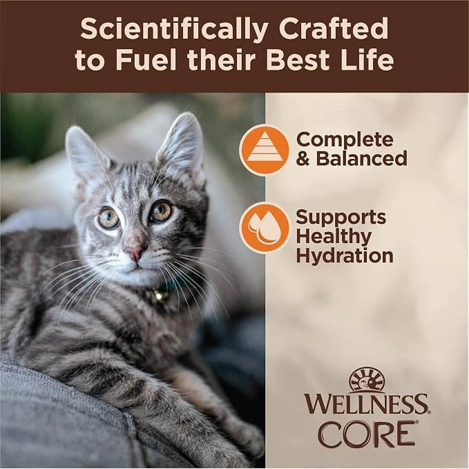 Wellness CORE Tiny Tasters Minced Adult Wet Cat Food,Natural,Protein-Rich,Grain Free,1.75-Ounce Pouch,(Chicken),(Pack of 24)