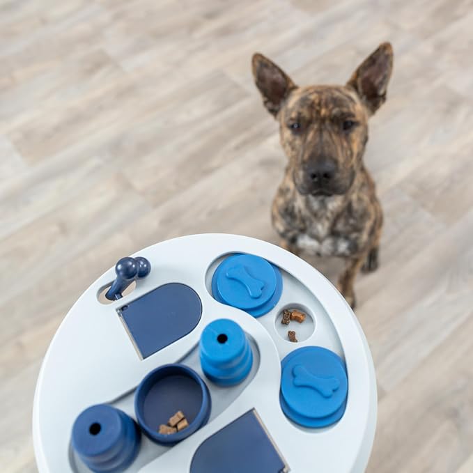 TRIXIE Dog Activity Hide N' Slide, Level 2, Strategy Game, Dog Puzzle, Treat Dispenser