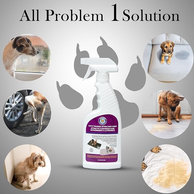PoochPad Potty Training Attractant Spray for Dogs & Puppies, 16 oz | Indoor Potty Pad & Outdoor Use, Dog Training & Behavior Aid, Housebreaking Supplies, Non-Toxic Formula, Made in USA