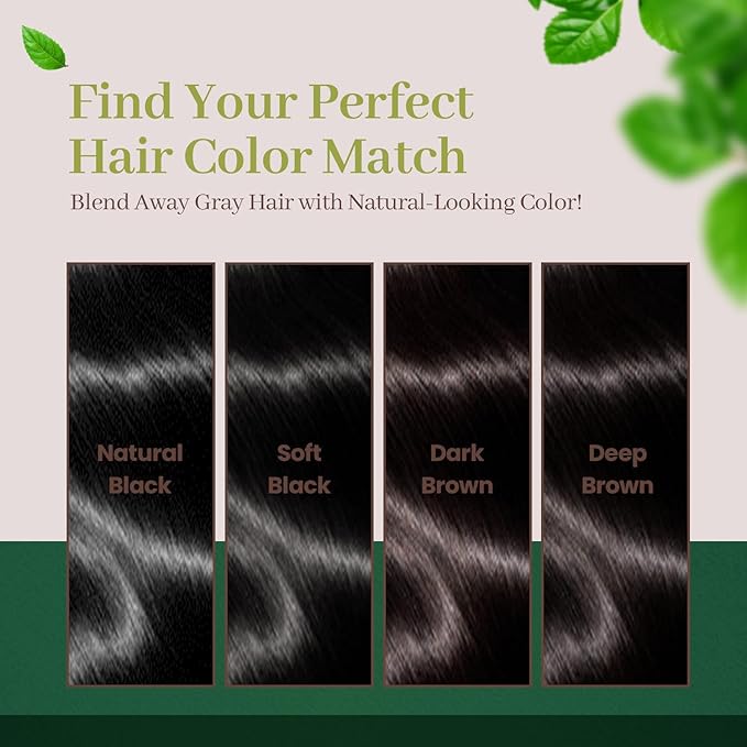 Dongsung Herb Speedy Color Cream 3 Pack, PPD Free, Ammonia Free, Vegan Hair Dye Contains Sun Protection Odorless No more Eye and/or Scalp Irritations From Coloring For Sensitive Scalp (Natural Black)