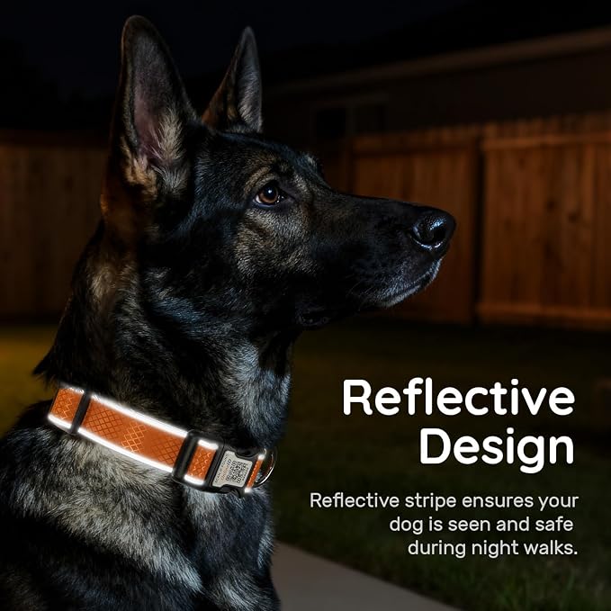 Reflective Dog Collar with QR Code Tag,Orange L (15.7"-23.6")