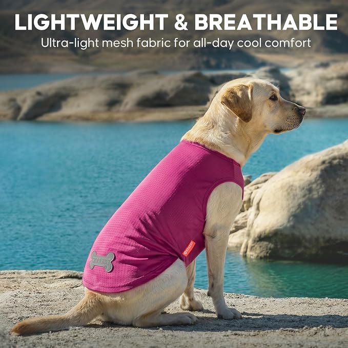 KYEESE 2Pack Dog Shirt, Lightweight Sun Protection Dog T Shirts for Medium Large Dogs Girl, Breathable Mesh Tank Top Sleeveless Pet Reflective Vest, Soft Summer Dogs Clothes, Strawberry+Rose Red, 2XL