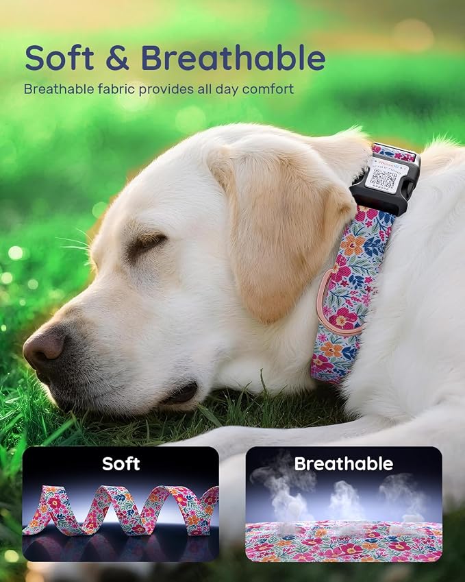 Dog Collar for Meidum Dogs with Smart QR Tags