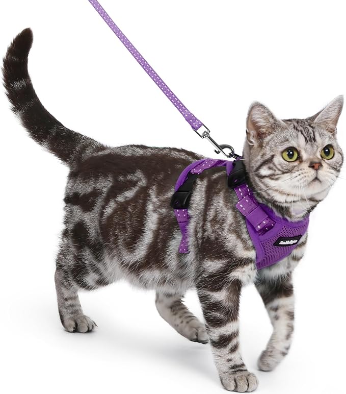 rabbitgoo Cat Harness and Leash, Easy-on with Neck Buckle, Purple