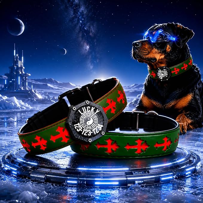 Light Up Glow Dog Collar with Chinese Style AirTag Holder