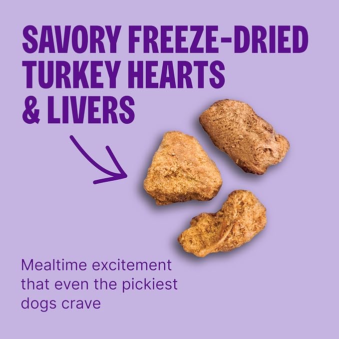 Wellness CORE+ Small Breed Adult Dry Dog Food with Freeze Dried Pieces, Grain Free Kibble+, Natural, High Protein, Turkey and Chicken Recipe, 10 lb Bag