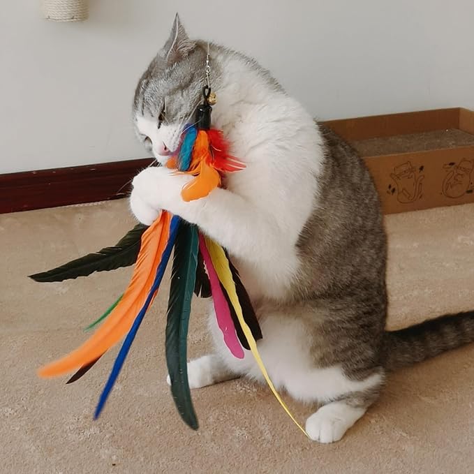 miwoowim 6PCS Cat Wand Toy Refills: 2 Extra-Large & 4 Standard Feathers | Handcrafted Da Bird feathers with bells for allure. Non-toxic, durable, and compatible with most standard teaser wand toys
