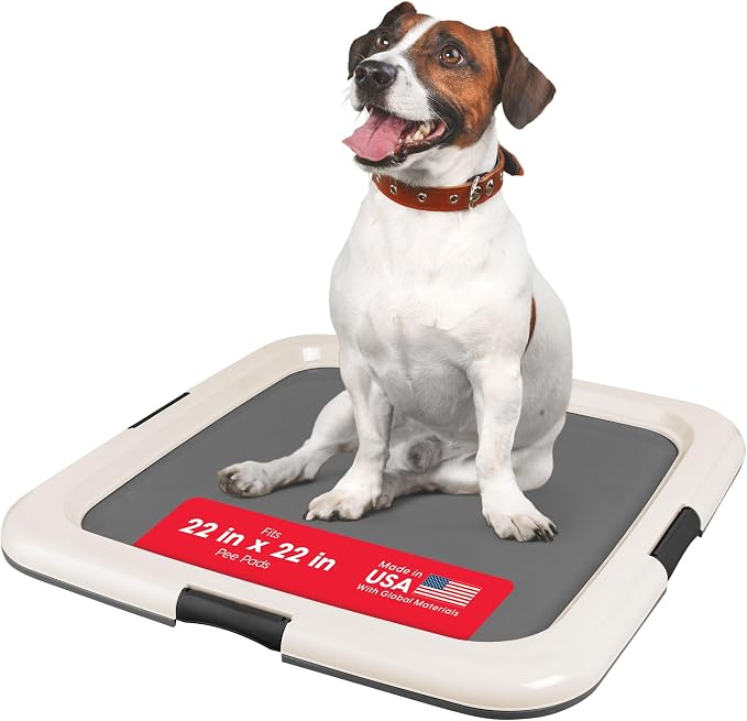 IRIS USA Pee Pad Holder, Fits 22x22 Pads, Dark Gray, Made in USA | Dog Training Pad Holder, Holds Pads in Place, Leakproof Design, Secure Latches, Non-Skid Feet, Easy Clean Surface