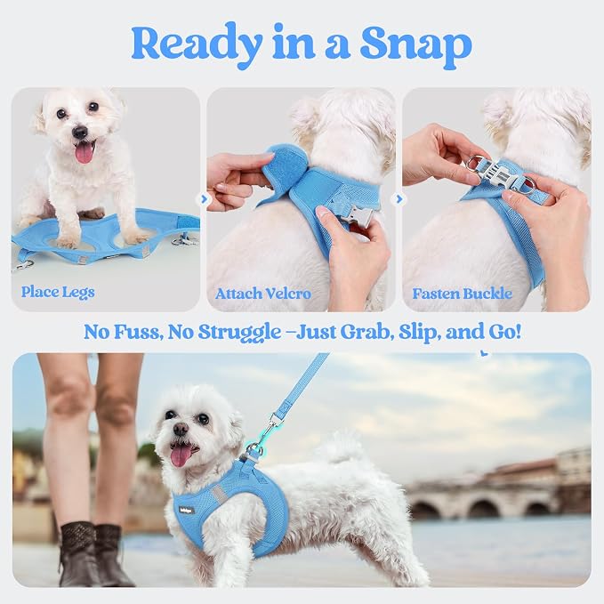 rabbitgoo Dog Harness Medium Sized and Leash Set, Step-in Puppy Pet Vest | Light, Soft, Breathable Air Mesh, Easy on and Remove with Hook & Loop, Secure Reflective for Walking, Blue L