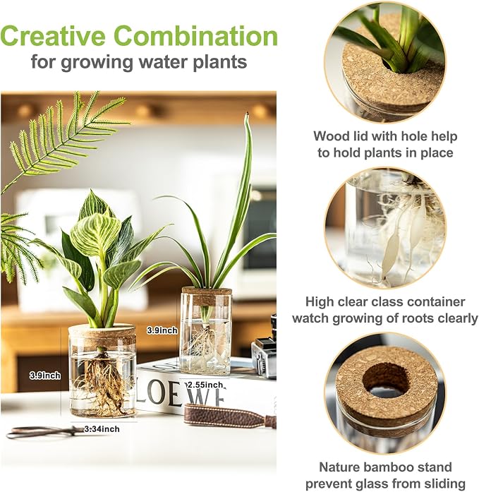 Glass Plant Propagation Stations for Plants – Set of 12(6 Large & 6 Small) Hydroponic Vases for Plant Cuttings,Flower Arrangements, Home & Office Decor–Desktop Vases for Living Room, Bedroom (12)