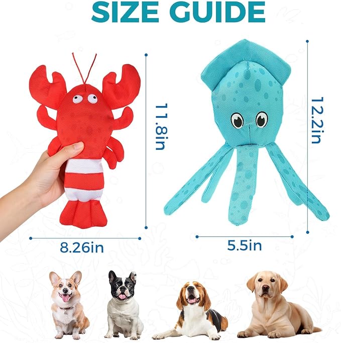 BINGPET Floating Dog Toys,2 Pack Squeaky Water Toys for Pool,Lobster&Squid