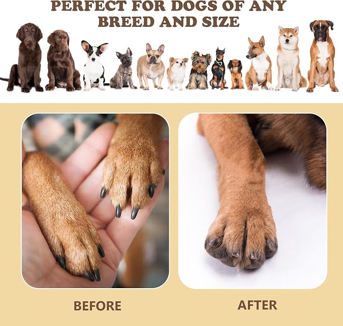 Dog Nail Scratch Board - 3 in 1 Dog Scratch Pad for Nails with Treat Box | Scratch Board for Dogs,Stress-Free Dog Nail File Toy,Puzzle Dog Scratch Pad,Shorten Dog’s Side Nail Easier+Replacement Pads