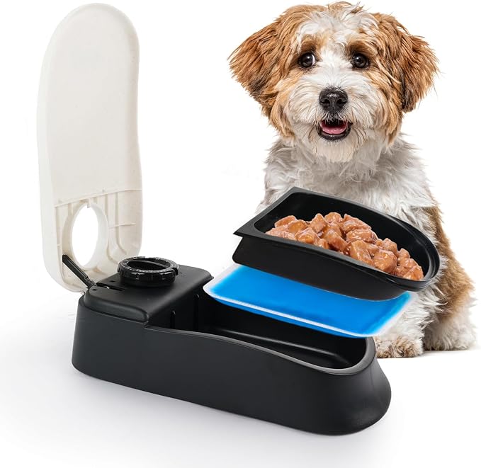 PAWISE Automatic Cat Feeder, Meal Automatic Timer for Cats and Puppy, 48-Hour Timer, Pet Feeder with Ice Pack for Wet or Dry Food, 1.5 Cups Dog Cat Food Dispenser