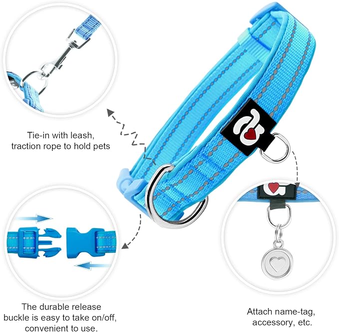 azuza Reflective Dog Collar, Neoprene Padded Puppy Collar, Blue, XS
