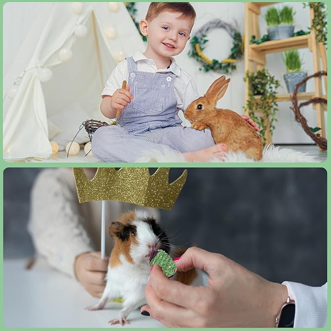 Rabbit Chew Toys Teeth Timothy Hay Sticks, Guinea Pig Chew Treats Toys