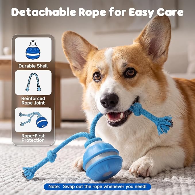 Interactive Small Dog Toys Ball, Smart Automatic Moving Rolling Dogs Toy | Interactive Dog Ball for Small & Medium Dogs, 3 Modes with Bird Chirps&RGB Lights, Bite-Resistant Rope, IP54 Waterproof(Blue)