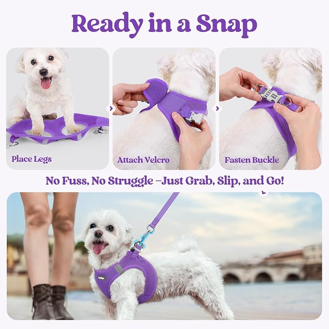 rabbitgoo Dog Harness Small Sized and Leash Set, Step-in Puppy Pet Vest | Light, Soft, Breathable Air Mesh, Easy on and Remove with Hook & Loop, Secure Reflective for Walking, Purple XXXS