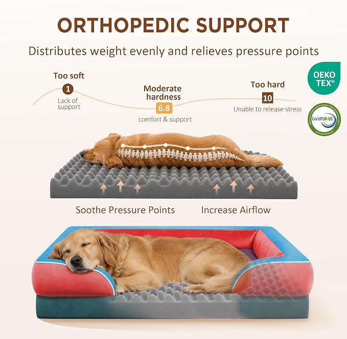 Comfort Expression Orthopedic Dog Bed for Extra Large Dogs with Bolster | Waterproof Dog Couch Bed with Washable Cover & Non-Slip Bottom, Supportive Egg Crate Foam XL Pet Bed, 42x30 Inch