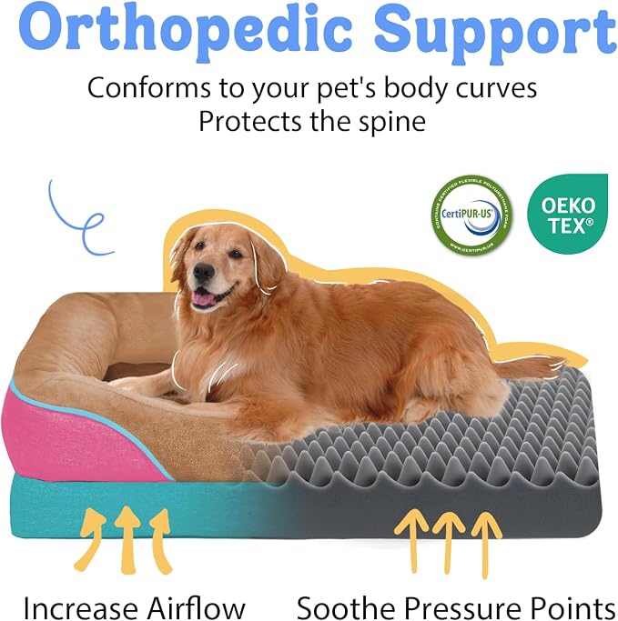Orthopedic Washable XXL Dog Bed for Extra Large Dogs | Egg Crate Foam, 4-Sided Bolster Support, Waterproof Liner, Non-Slip Bottom, Removable Bolster Cover, 45 x 35 Inch