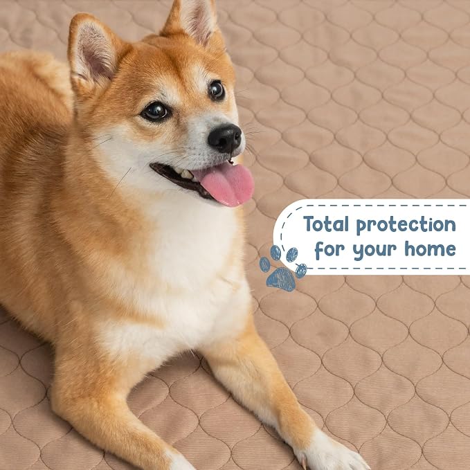 Washable Dog Training Pads - Reusable Waterproof Whelping, 48x60 in | Sanitary puppy pee pads with rounded corners for pet essentials, laminated lightweight durable design for dogs