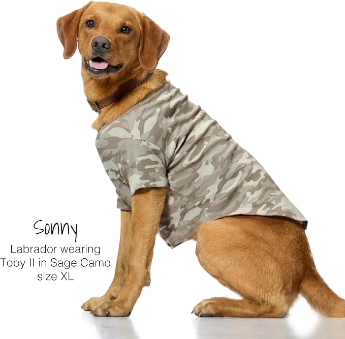 Pet Passion Toby II Dog T-Shirt, 3 Pack, Sage Camo, Small | GOTS-certified organic cotton short-sleeve tee. Breathable, soft & sustainable for everyday wear.